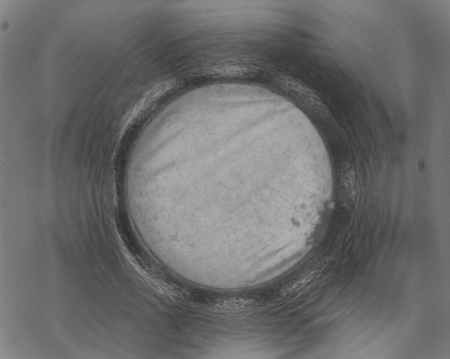 X0000068830734200605261615