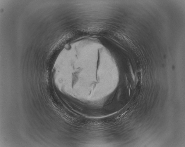 X0000068830735200605261615