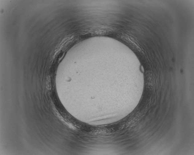 X0000068830738200605261615