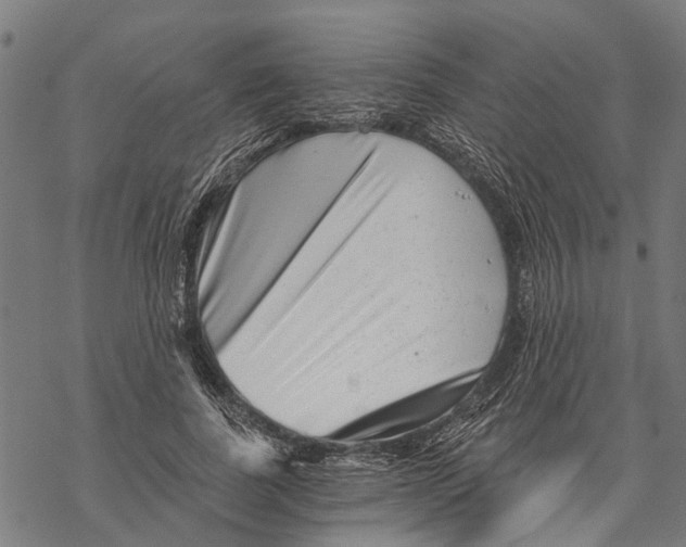 X0000068830739200605261615