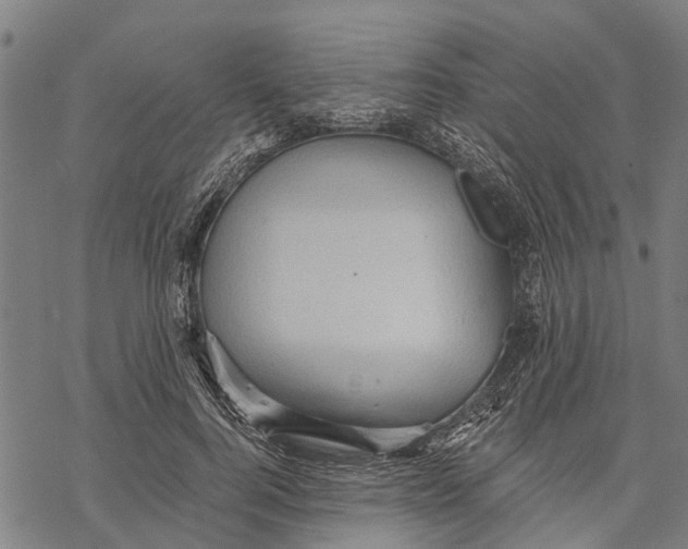 X0000068830744200605261615