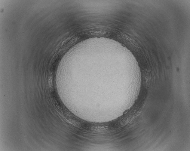 X0000068830745200605261615