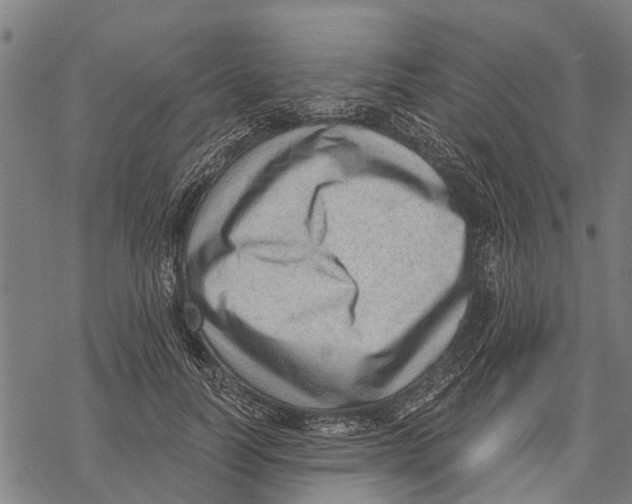 X0000068830746200605261615