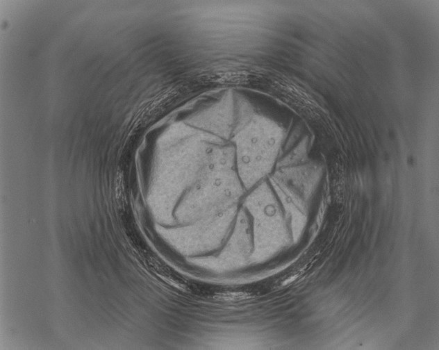 X0000068830748200605261615