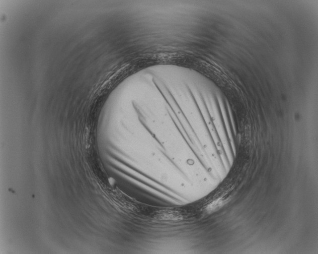 X0000068830750200605261615