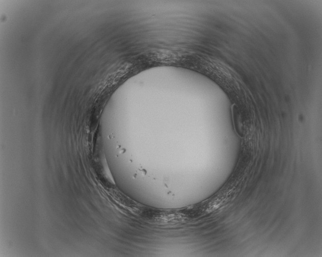 X0000068830752200605261615