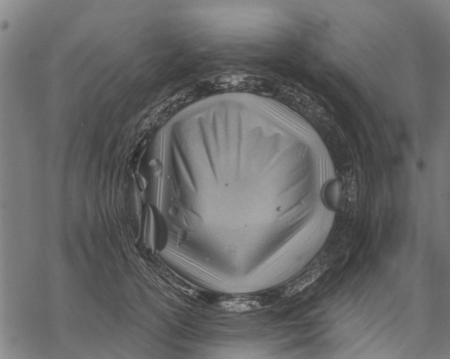 X0000068830754200605261615