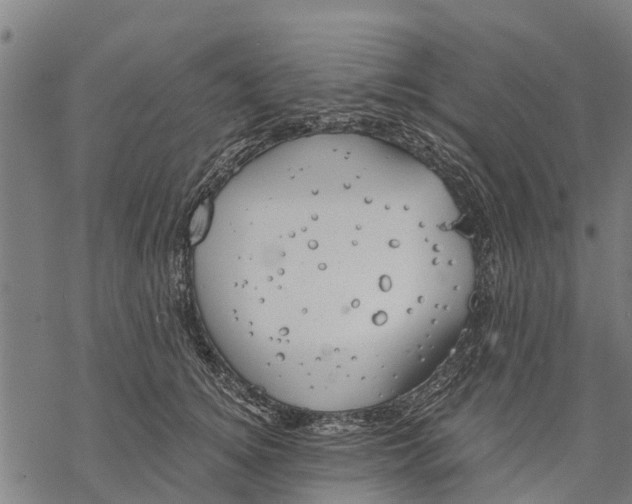 X0000068830756200605261615