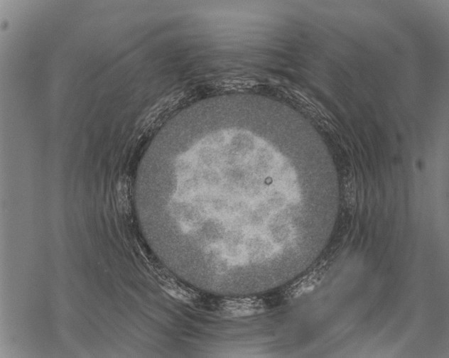 X0000068830757200605261615