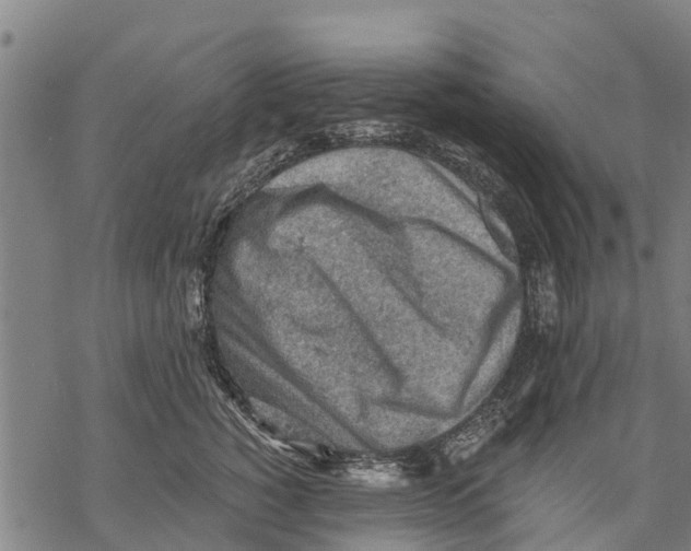 X0000068830760200605261615