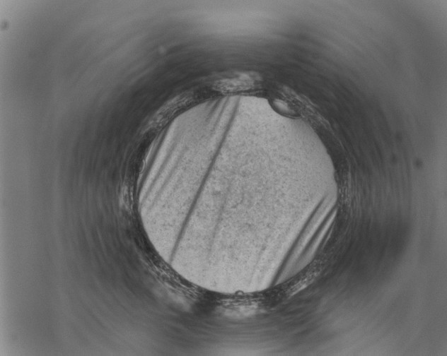 X0000068830763200605261615