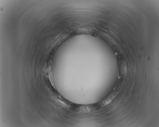 X0000068830764200605261615