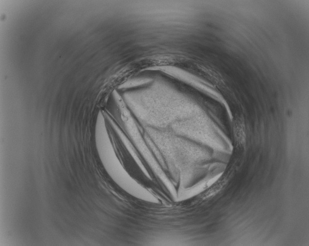 X0000068830766200605261615