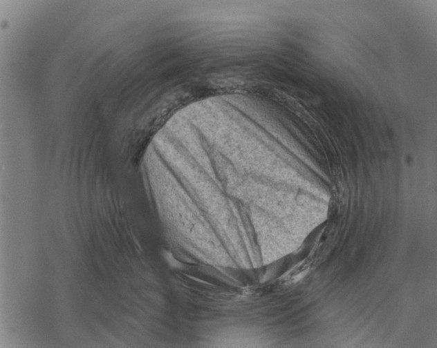 X0000068830767200605261615