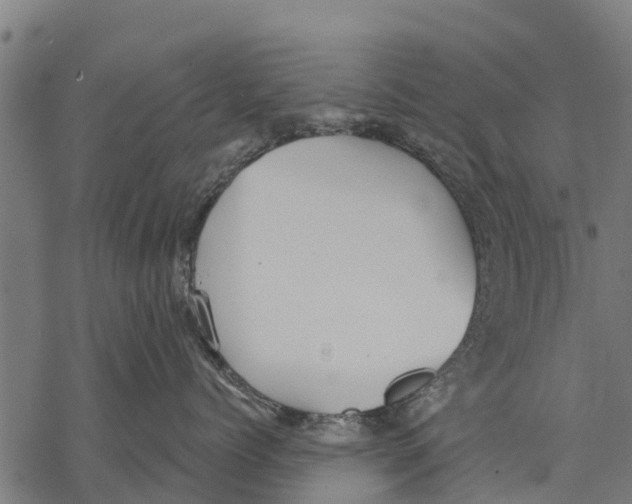 X0000068830768200605261615