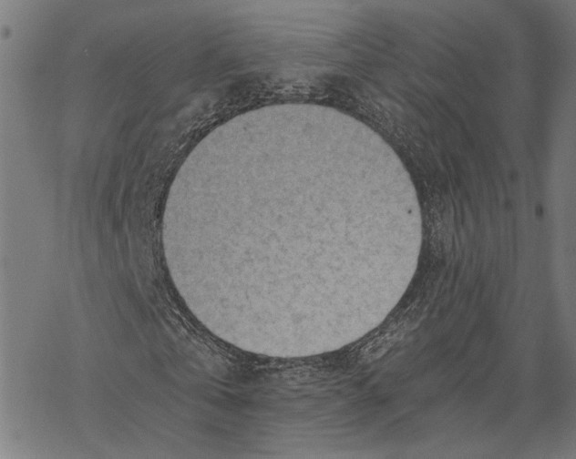 X0000068830769200605261615