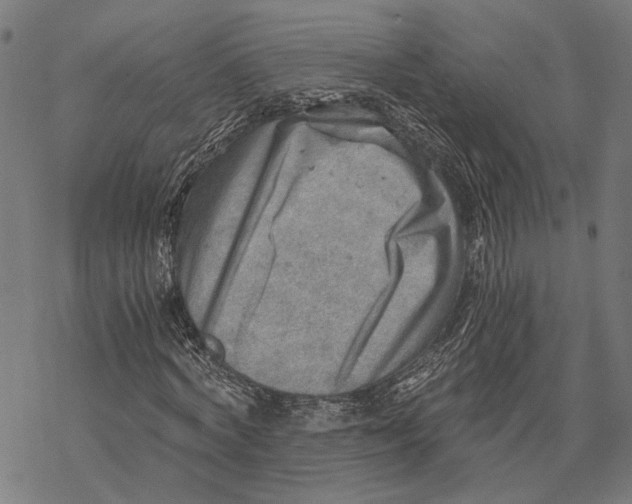 X0000068830772200605261614