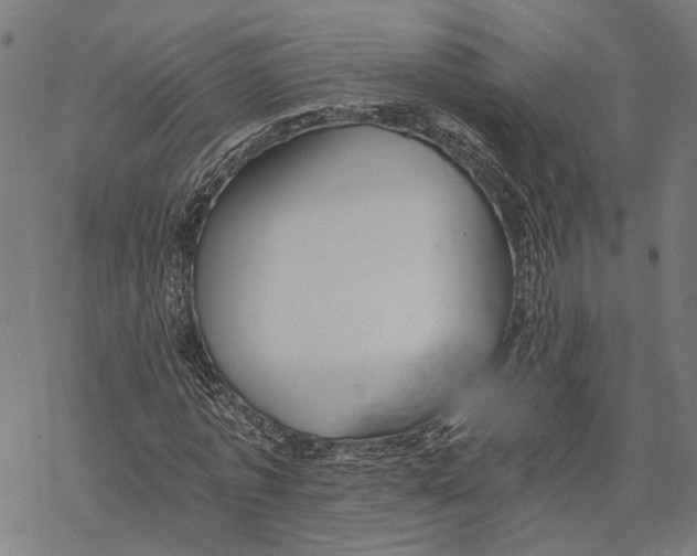 X0000068830773200605261614