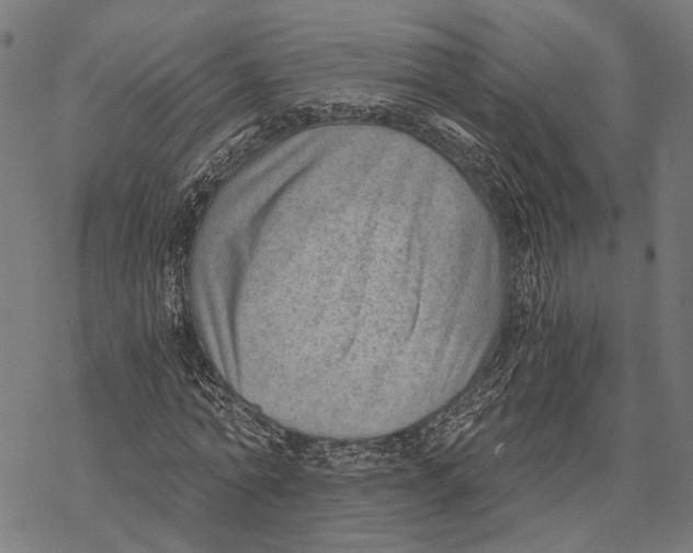 X0000068830774200605261614