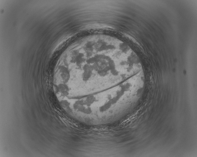 X0000068830775200605261614