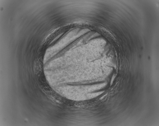 X0000068830776200605261614