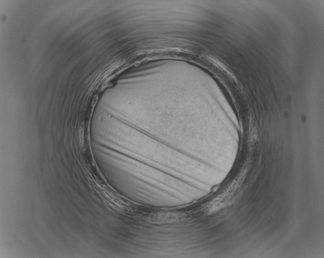 X0000068830777200605261614