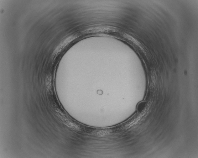 X0000068830778200605261614