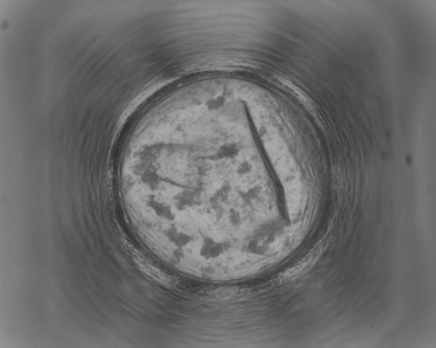 X0000068830779200605261614