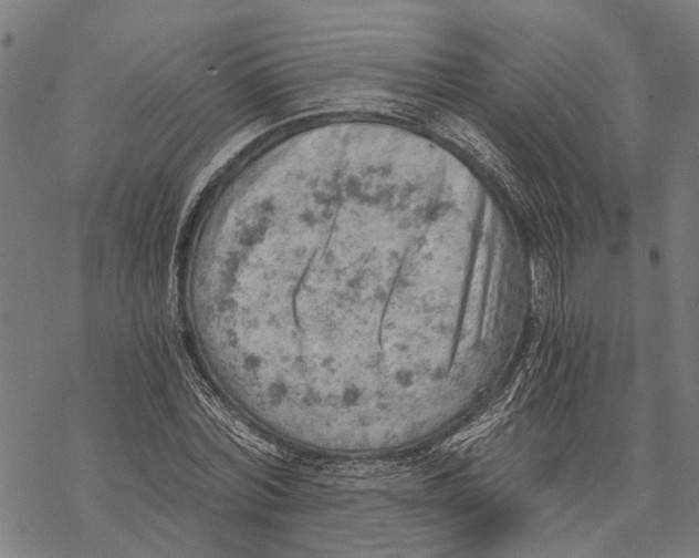 X0000068830780200605261614