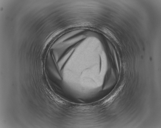 X0000068830781200605261614