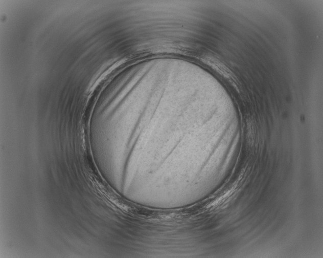 X0000068830782200605261614