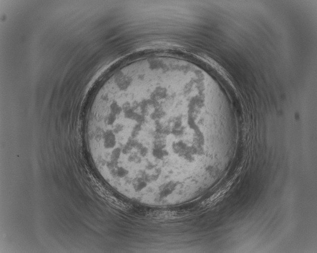 X0000068830783200605261614