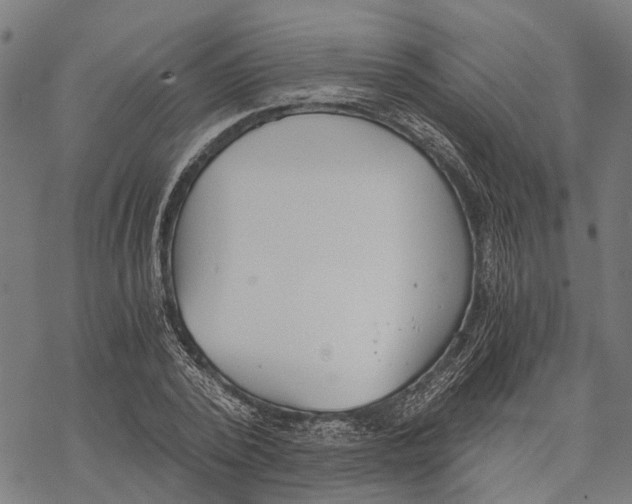 X0000068830784200605261614