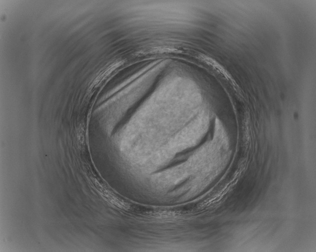 X0000068830785200605261614