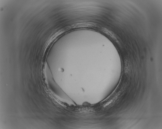 X0000068830786200605261614