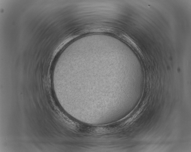 X0000068830787200605261614