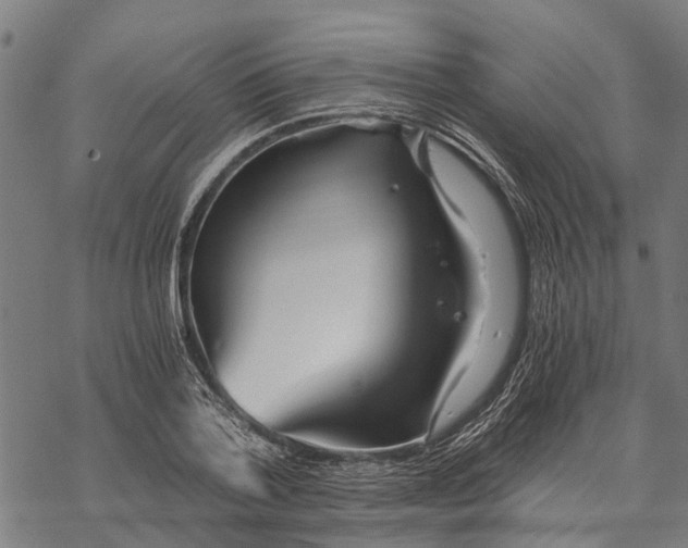 X0000068830788200605261614