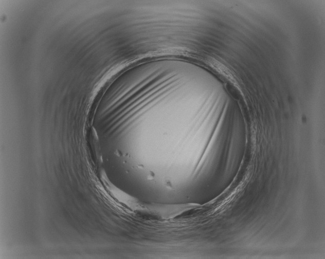 X0000068830789200605261614