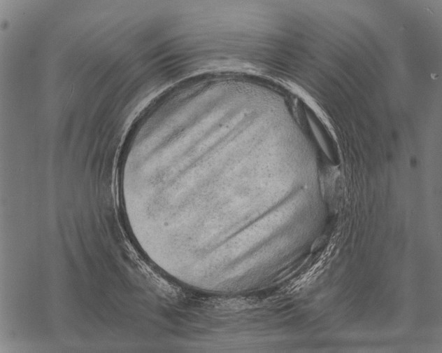 X0000068830791200605261614