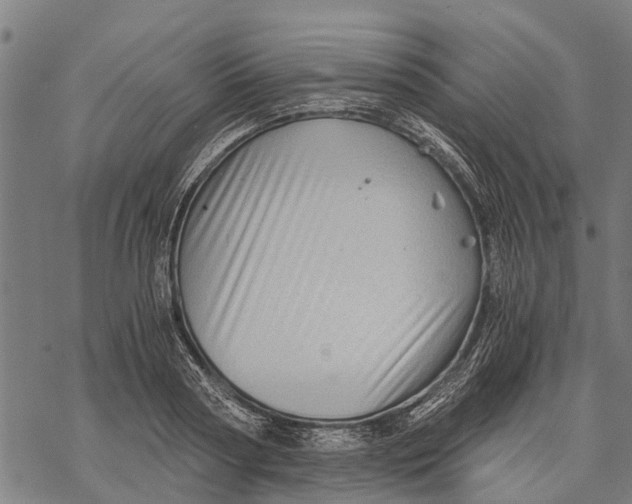 X0000068830794200605261614