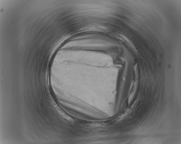 X0000068830796200605261614