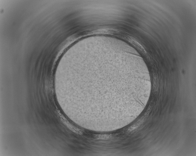 X0000068830800200605261614