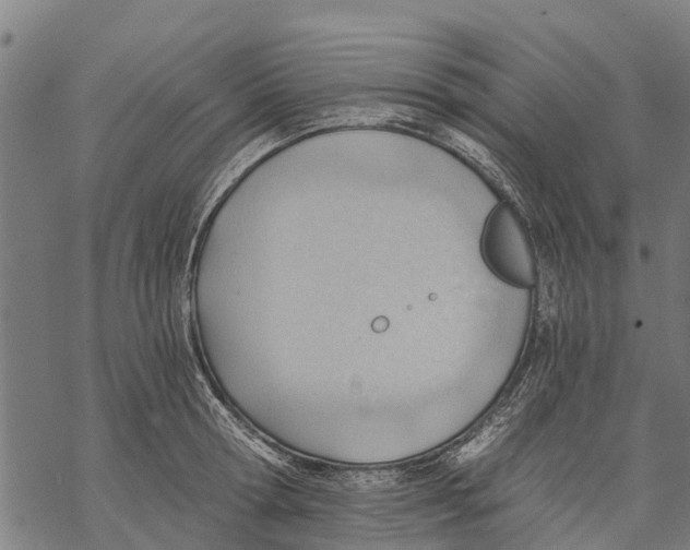 X0000068830802200605261614