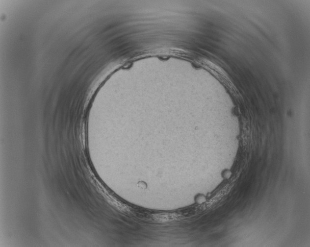 X0000068830804200605261614