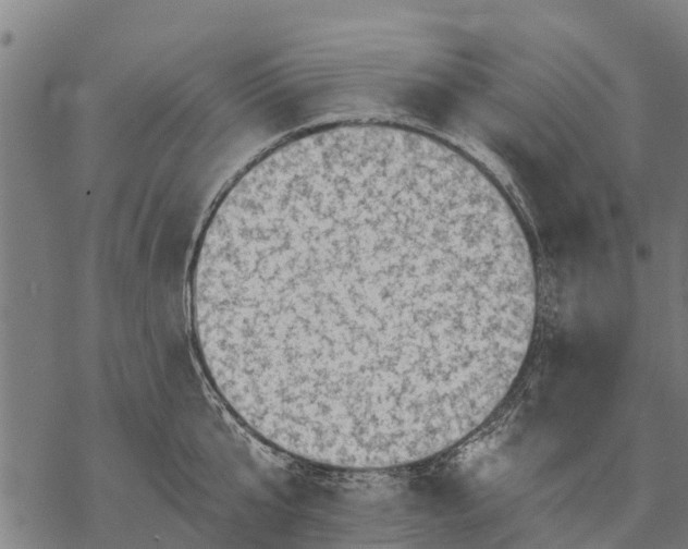 X0000068830807200605261614