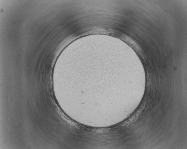 X0000068830808200605261614