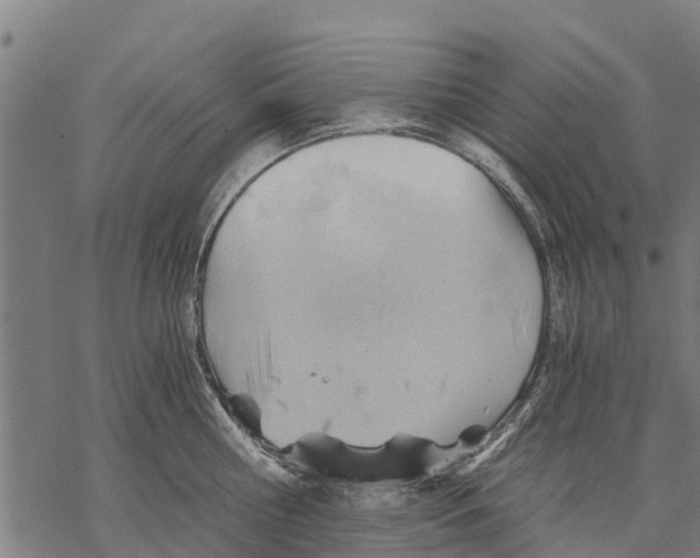 X0000068830810200605261614