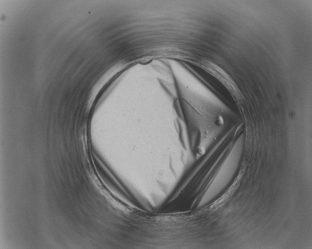 X0000068830812200605261614