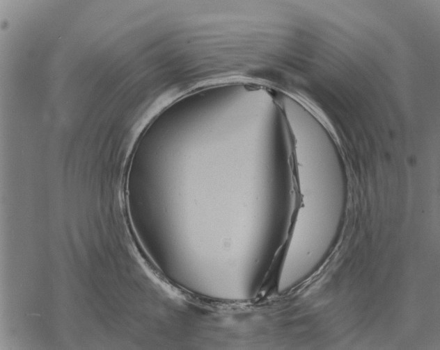 X0000068830813200605261614