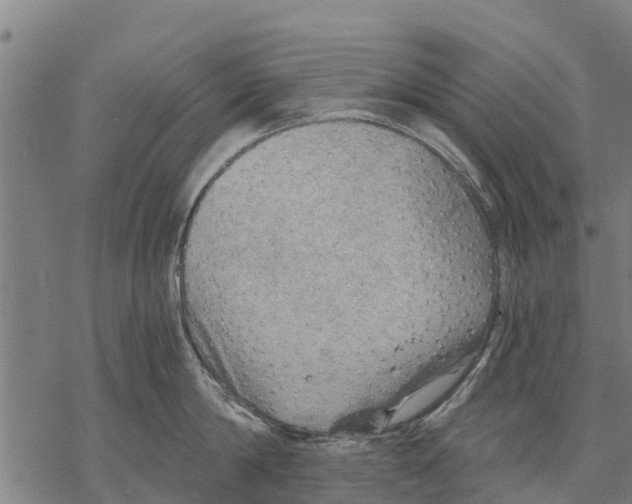 X0000068830814200605261614